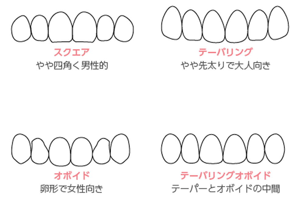 歯の形状